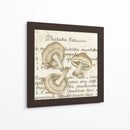Shiitake - Nancy S. Pallan | Cuadro decorativo de Canvas Lab