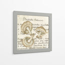 Shiitake - Nancy S. Pallan | Cuadro decorativo de Canvas Lab