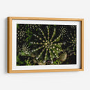 Cactus 2 - Alvaro Martinz | Cuadro decorativo de Canvas Lab