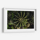 Cactus 2 - Alvaro Martinz | Cuadro decorativo de Canvas Lab