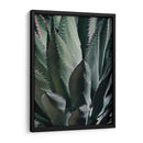 Agave Ii - Rachel Perry | Cuadro decorativo de Canvas Lab