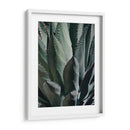 Agave Ii - Rachel Perry | Cuadro decorativo de Canvas Lab