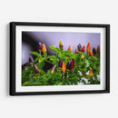 Chiles - Alvaro Martinz | Cuadro decorativo de Canvas Lab