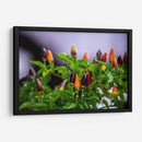 Chiles - Alvaro Martinz | Cuadro decorativo de Canvas Lab