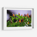 Chiles - Alvaro Martinz | Cuadro decorativo de Canvas Lab
