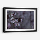 Ciruelos en flor - Alvaro Martinz | Cuadro decorativo de Canvas Lab