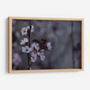 Ciruelos en flor - Alvaro Martinz | Cuadro decorativo de Canvas Lab