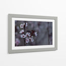Ciruelos en flor - Alvaro Martinz | Cuadro decorativo de Canvas Lab