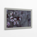 Ciruelos en flor - Alvaro Martinz | Cuadro decorativo de Canvas Lab