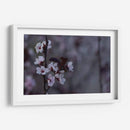 Ciruelos en flor - Alvaro Martinz | Cuadro decorativo de Canvas Lab