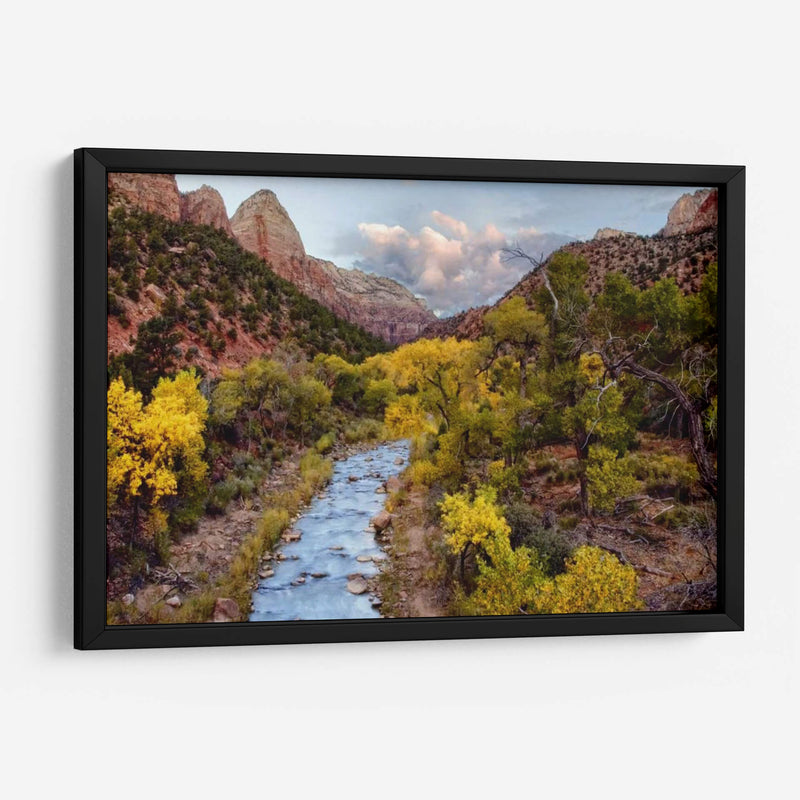 Vista Brillante I - Colby Chester | Cuadro decorativo de Canvas Lab