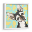 Dogs Drynns - Jules Vern - Dlynn Roll | Cuadro decorativo de Canvas Lab