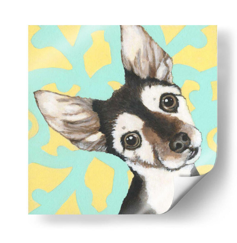 Dogs Drynns - Jules Vern - Dlynn Roll | Cuadro decorativo de Canvas Lab