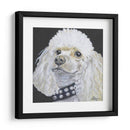 Dogs Dlynns - Harley - Dlynn Roll | Cuadro decorativo de Canvas Lab