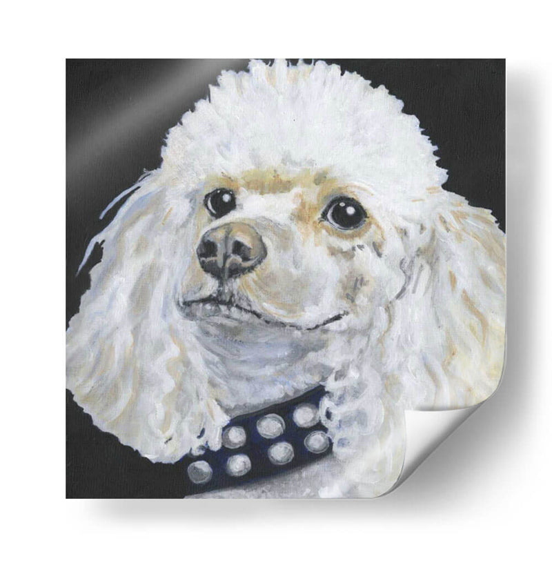 Dogs Dlynns - Harley - Dlynn Roll | Cuadro decorativo de Canvas Lab