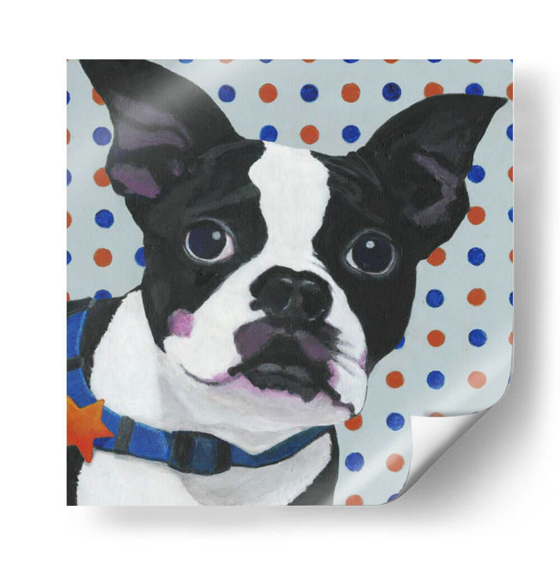 Perros Dlynns - Diesel - Dlynn Roll | Cuadro decorativo de Canvas Lab