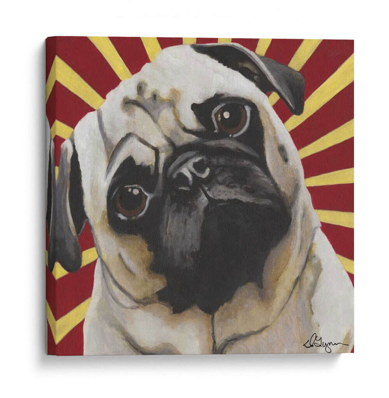 Dogs Drynns - Puggins - Dlynn Roll | Cuadro decorativo de Canvas Lab