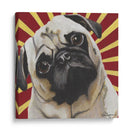 Dogs Drynns - Puggins - Dlynn Roll | Cuadro decorativo de Canvas Lab