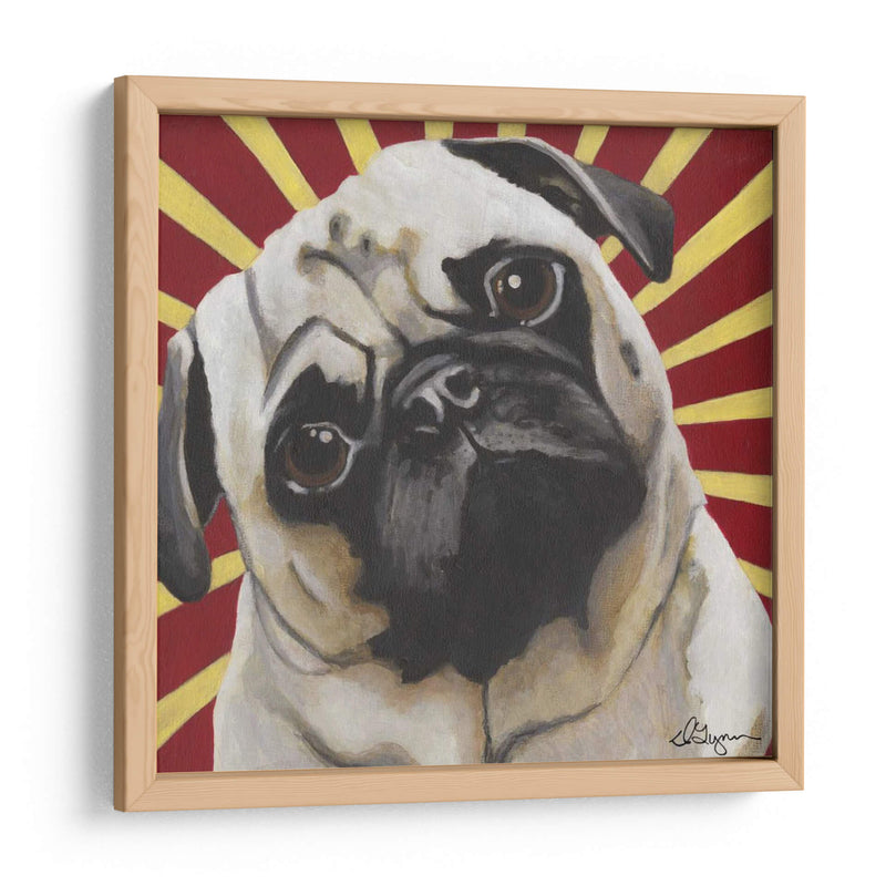 Dogs Drynns - Puggins - Dlynn Roll | Cuadro decorativo de Canvas Lab