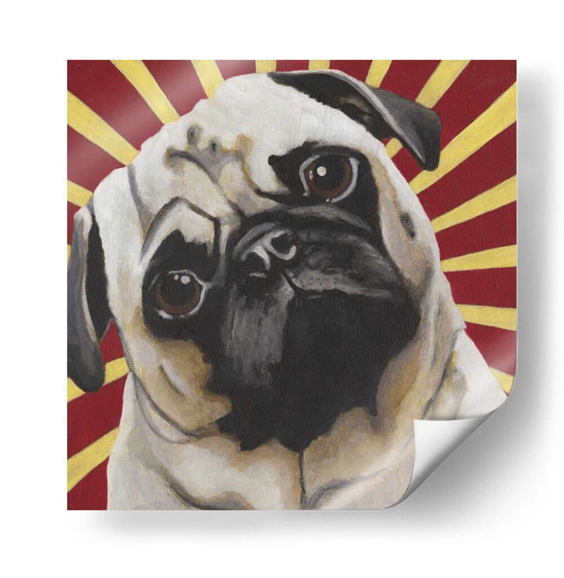 Dogs Drynns - Puggins - Dlynn Roll | Cuadro decorativo de Canvas Lab