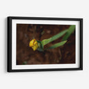 Flores en el Desierto - Alvaro Martinz | Cuadro decorativo de Canvas Lab