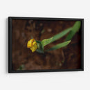 Flores en el Desierto - Alvaro Martinz | Cuadro decorativo de Canvas Lab