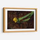 Flores en el Desierto - Alvaro Martinz | Cuadro decorativo de Canvas Lab