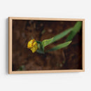 Flores en el Desierto - Alvaro Martinz | Cuadro decorativo de Canvas Lab