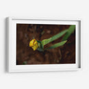 Flores en el Desierto - Alvaro Martinz | Cuadro decorativo de Canvas Lab