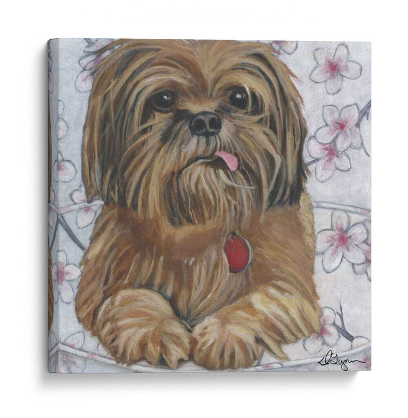 Dogs Drynns - Cody - Dlynn Roll | Cuadro decorativo de Canvas Lab