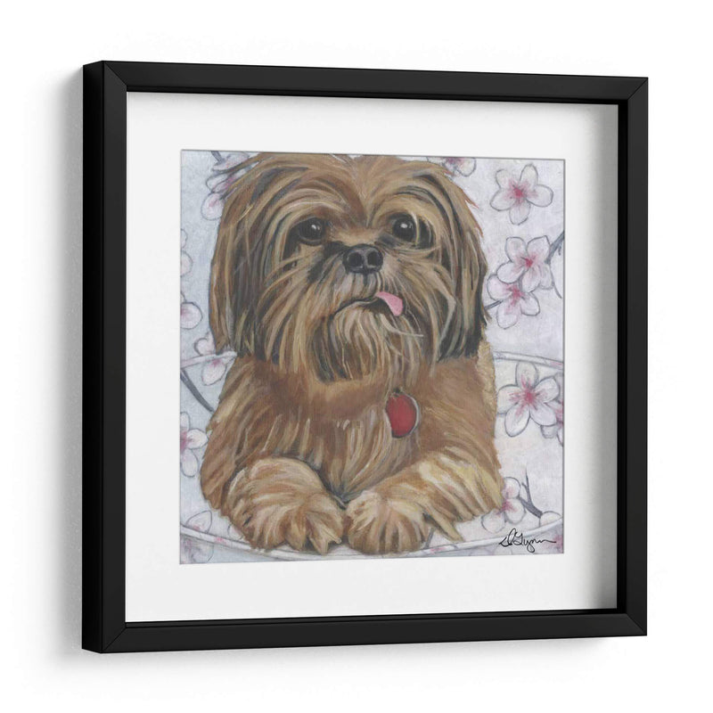 Dogs Drynns - Cody - Dlynn Roll | Cuadro decorativo de Canvas Lab