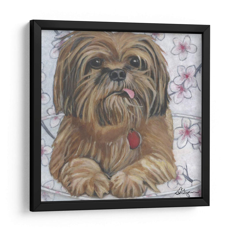 Dogs Drynns - Cody - Dlynn Roll | Cuadro decorativo de Canvas Lab