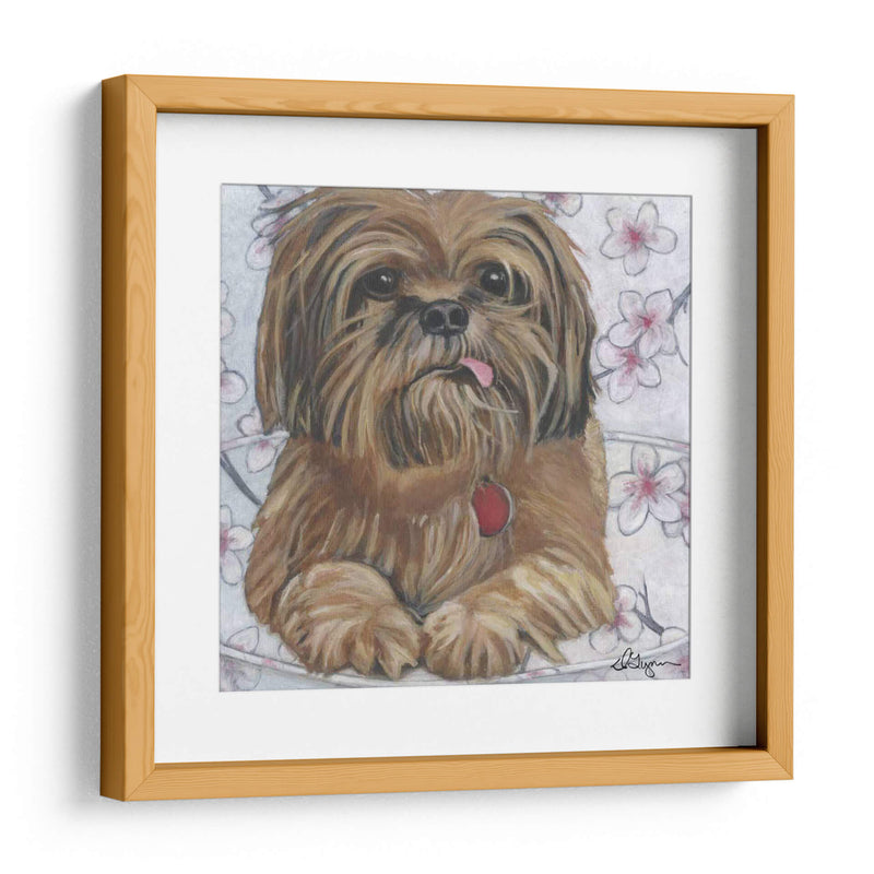 Dogs Drynns - Cody - Dlynn Roll | Cuadro decorativo de Canvas Lab