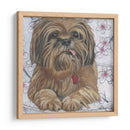 Dogs Drynns - Cody - Dlynn Roll | Cuadro decorativo de Canvas Lab