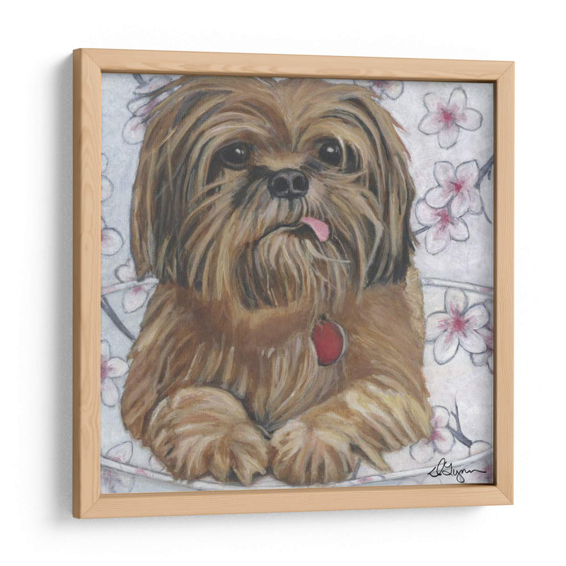 Dogs Drynns - Cody - Dlynn Roll | Cuadro decorativo de Canvas Lab