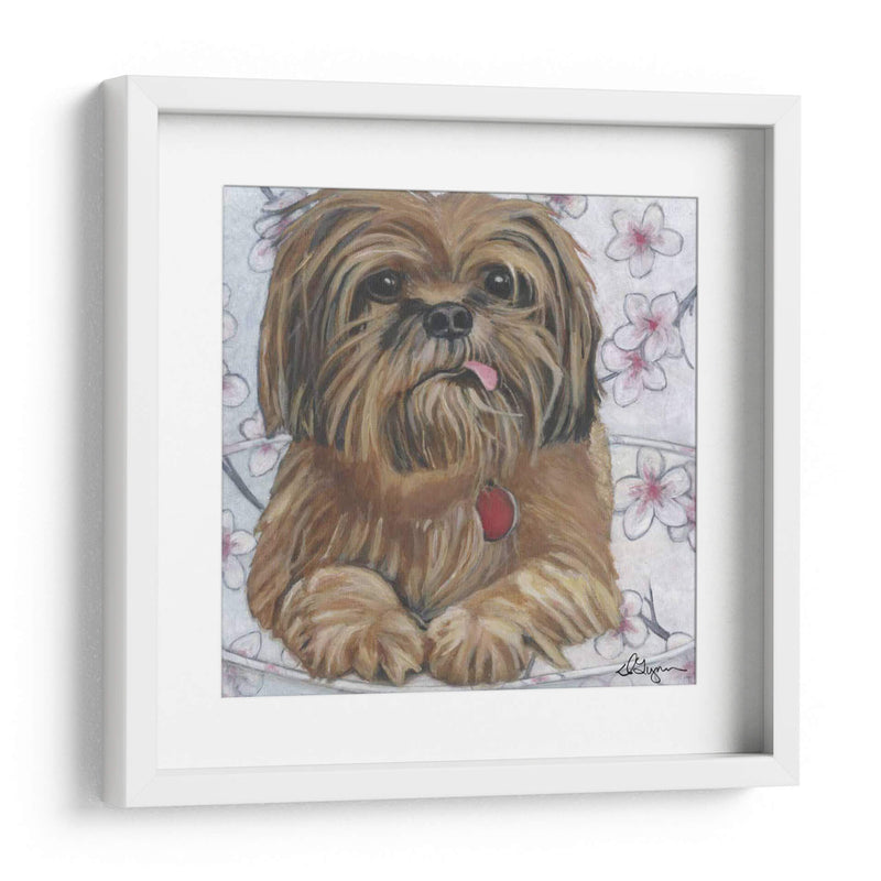 Dogs Drynns - Cody - Dlynn Roll | Cuadro decorativo de Canvas Lab