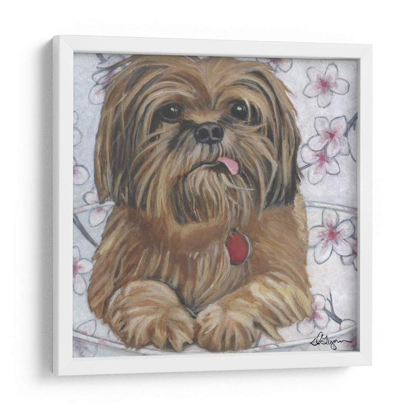 Dogs Drynns - Cody - Dlynn Roll | Cuadro decorativo de Canvas Lab