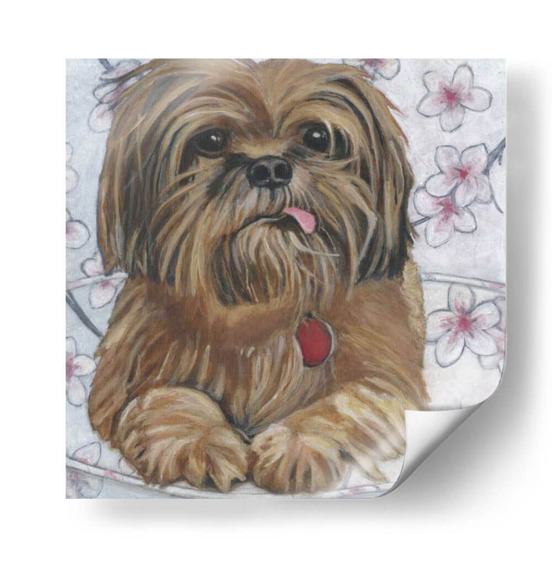 Dogs Drynns - Cody - Dlynn Roll | Cuadro decorativo de Canvas Lab