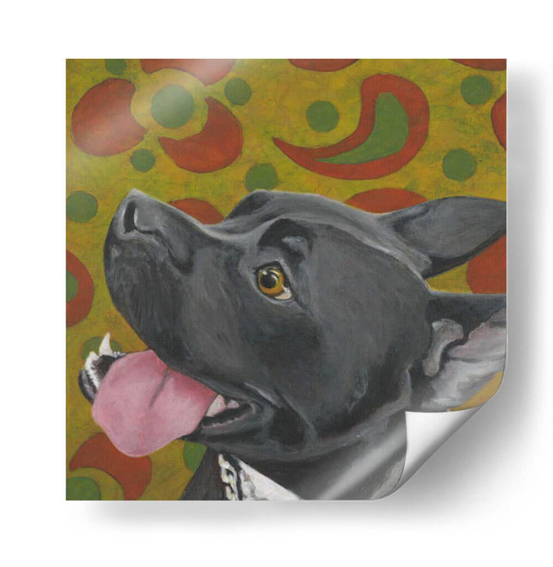 Dogs Drynns - Kendall - Dlynn Roll | Cuadro decorativo de Canvas Lab