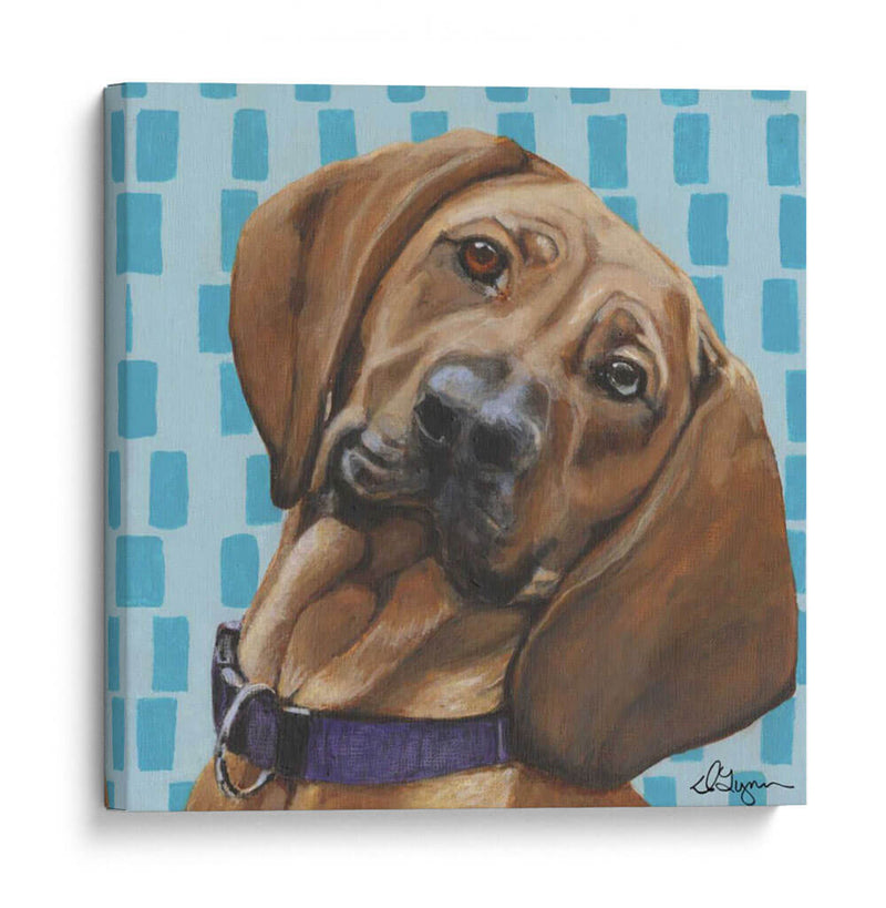 Dogs Drynns - Dali - Dlynn Roll | Cuadro decorativo de Canvas Lab