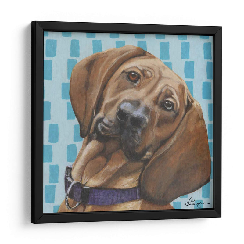 Dogs Drynns - Dali - Dlynn Roll | Cuadro decorativo de Canvas Lab