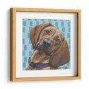 Dogs Drynns - Dali - Dlynn Roll | Cuadro decorativo de Canvas Lab