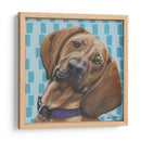 Dogs Drynns - Dali - Dlynn Roll | Cuadro decorativo de Canvas Lab