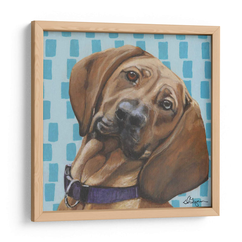 Dogs Drynns - Dali - Dlynn Roll | Cuadro decorativo de Canvas Lab