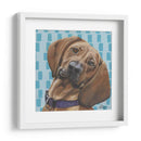 Dogs Drynns - Dali - Dlynn Roll | Cuadro decorativo de Canvas Lab