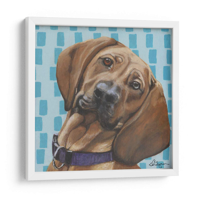 Dogs Drynns - Dali - Dlynn Roll | Cuadro decorativo de Canvas Lab