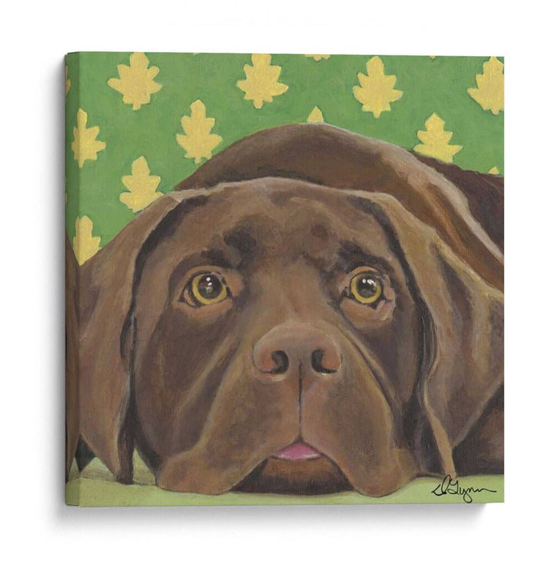 Dogs Dlynns - Casey - Dlynn Roll | Cuadro decorativo de Canvas Lab