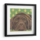Dogs Dlynns - Casey - Dlynn Roll | Cuadro decorativo de Canvas Lab