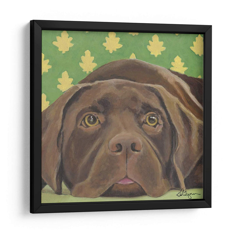 Dogs Dlynns - Casey - Dlynn Roll | Cuadro decorativo de Canvas Lab