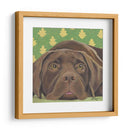 Dogs Dlynns - Casey - Dlynn Roll | Cuadro decorativo de Canvas Lab